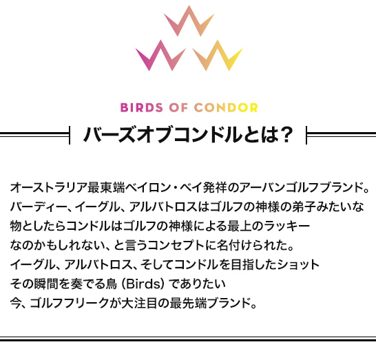 バーズオブコンドルとは