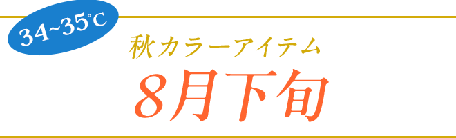 秋カラーアイテム　8月下旬