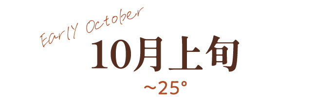 10月上旬~25℃